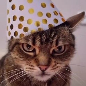 Meet your Posher, Yahshar ban